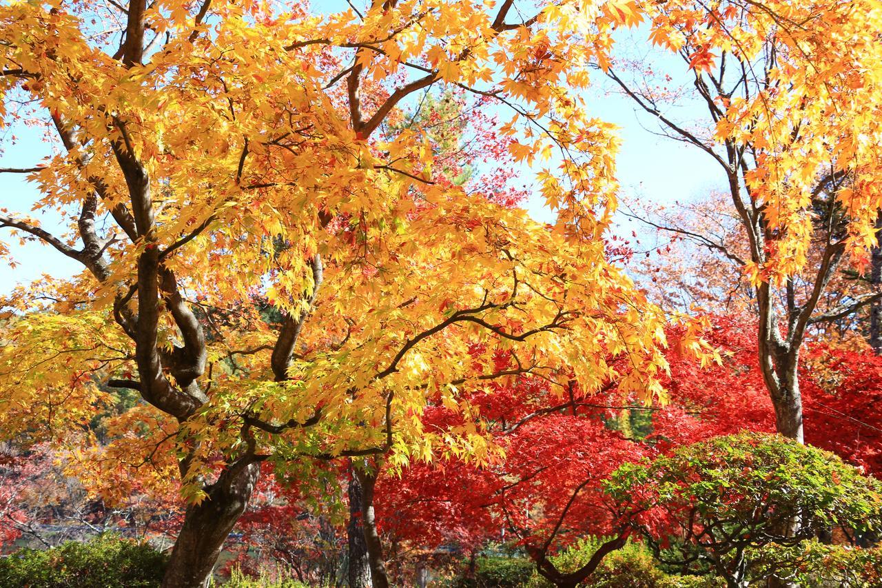 温泉山岳ホテル アンデルマット 長和町 エクステリア 写真